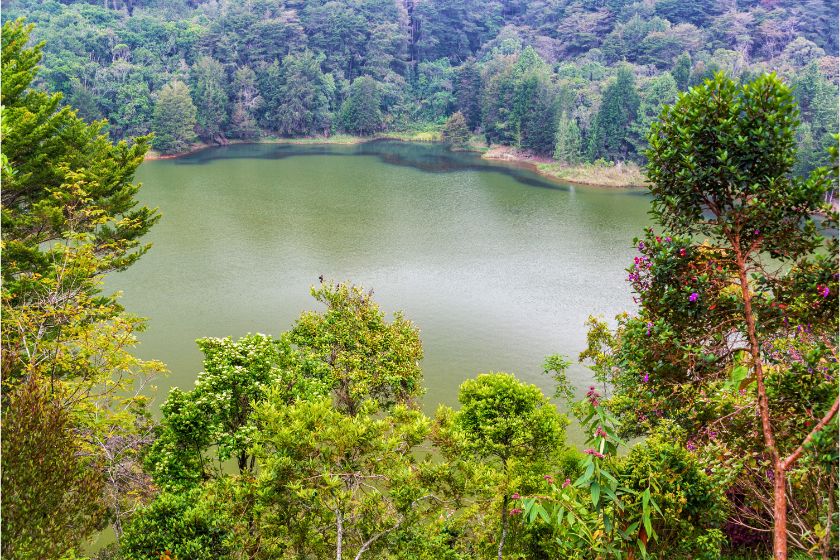 Parque Arví Medellín Colombia
