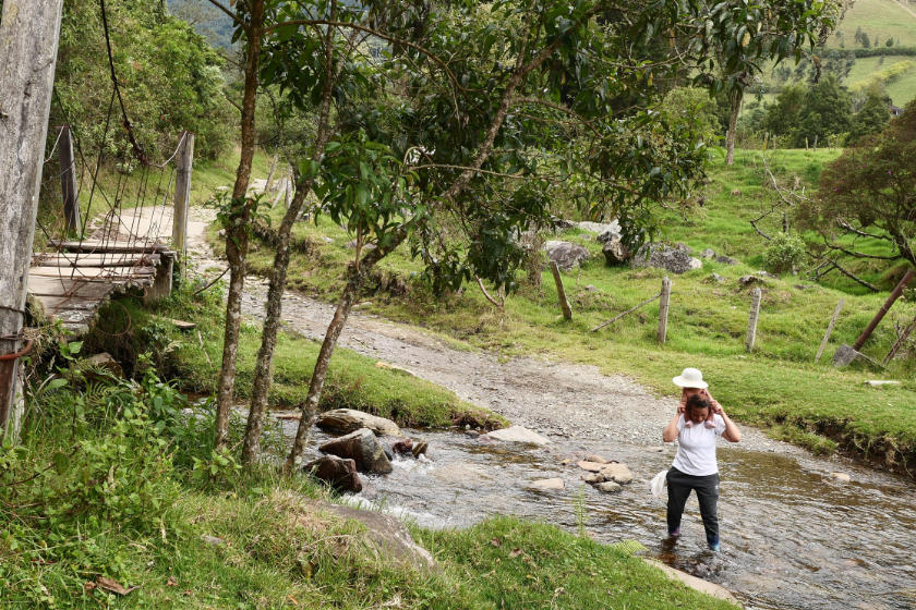 Valle del Cocora hiking trail, Salento Colombia
